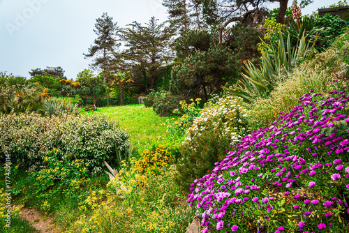 Balade sur l'ile Chaussey