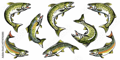 Collection of dynamic illustrative trout fish in various poses with open mouths and detailed scales