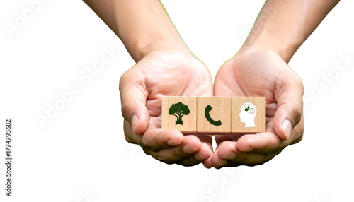 Hands cradling wooden blocks depicting nature, communication, and mind