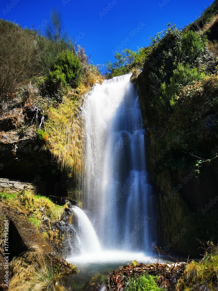 Fototapeta premium bsh