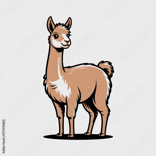 Illustration of cute cartoon llama sticker isolated on white background