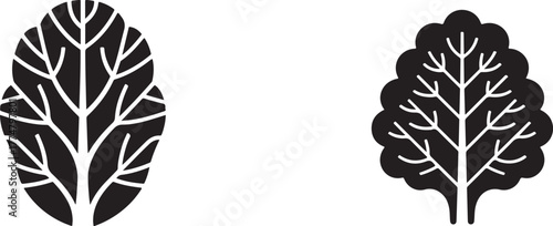 Two stylized black leaf silhouettes with intricate vein patterns