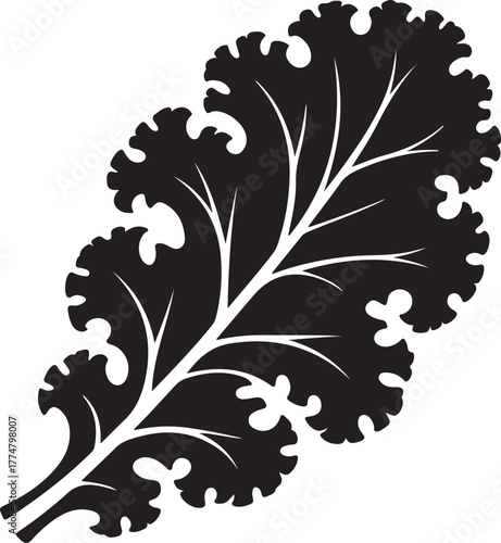 Black and white curly kale leaf silhouette with detailed veins