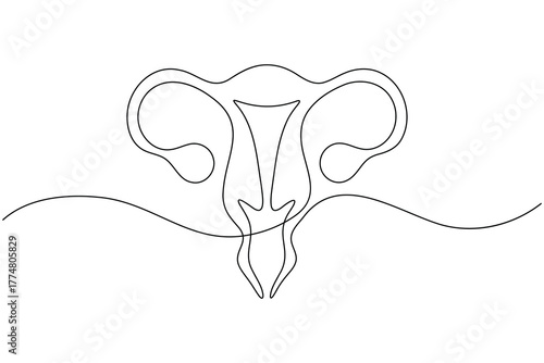 Woman uterus organ continuous one line drawing on white background minimalist reproductive system outline vector illustration