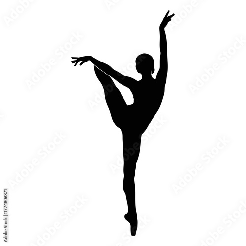 graceful ballerina performing dance pose silhouette