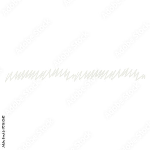 feather duster on white background