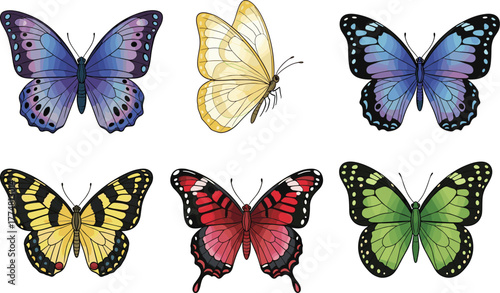 Butterfly collection, colorful wings, nature species, insect illustration, vibrant patterns, flying insects, garden wildlife, entomology study, wing texture, biodiversity art