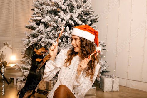 one beautiful curly-haired girl sits with a puppy near the Christmas tree, New Year's photo session with candy lollipop.