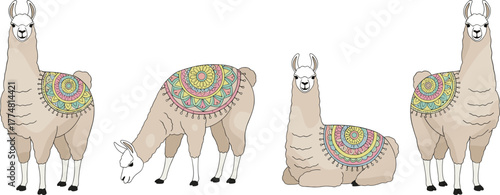 Cartoon llamas, decorative blankets, mandala design, sitting llama, grazing llama, cute animals, South American style, beige fur, festive illustration, cultural art