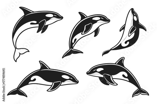 Minimalist orca whale icon set in black and yellow