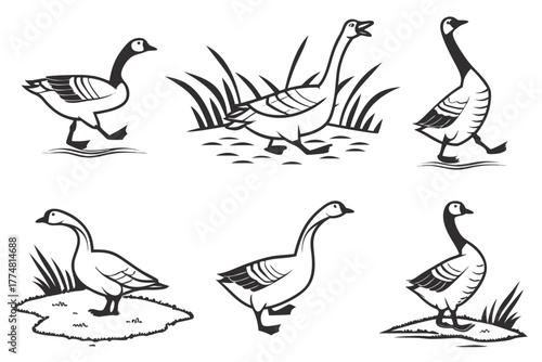 Playful goose icon set minimalist design