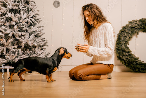A curly redhead girl in a white sweater sits on the floor in the room. woman and dog playing in the room girl feeds the dog.