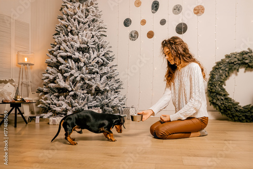 A curly redhead girl in a white sweater sits on the floor in the room. woman and dog playing in the room girl feeds the dog.