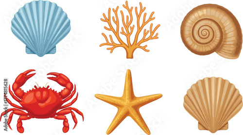 Marine illustration, seashell collection, coral branch, crab drawing, starfish icon, ocean elements, beach theme, underwater life, sea animals, coastal design