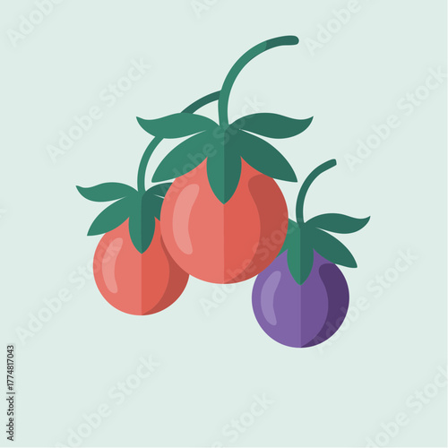 vine trio: ripe crimson and twilight purple tomatoes on verdant stem study