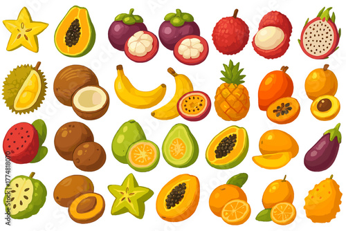 Colorful collection of tropical fruits illustrated on a vibrant background