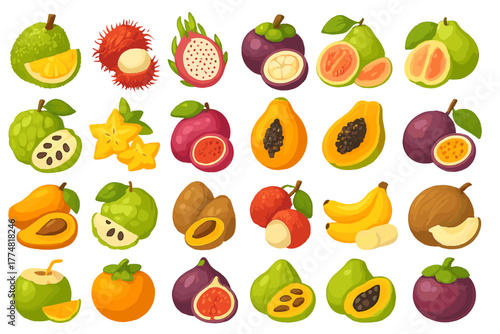 Tropical exotic fruits illustration on colorful background