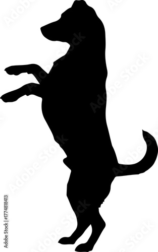 Silhouette of a dog standing on its hind legs. Vector icon of a playful puppy begging, balancing, or performing a trick for pet training concepts.