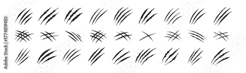 Claw scratches isolated. Black Bear tiger claws trails, animal scratched white paper. Flat scratch marks, racy wild beast tracks clipart