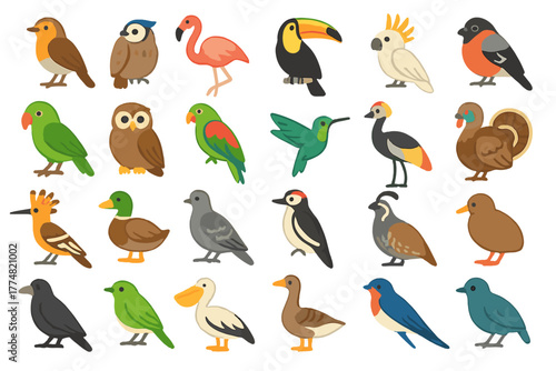 Colorful illustrated bird icon set featuring tropical and wild species