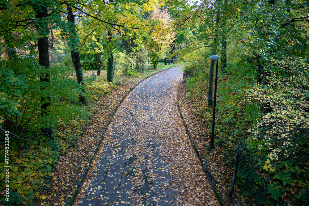 Fototapeta premium Gehweg im herbstlichen Park