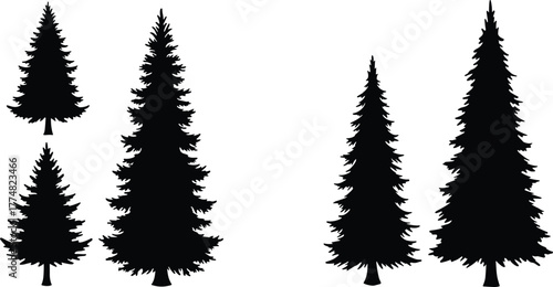Conifer tree silhouettes, forest illustration, evergreen design, natural woodland background, winter landscape art, rustic outdoor pattern, pine tree collection, nature