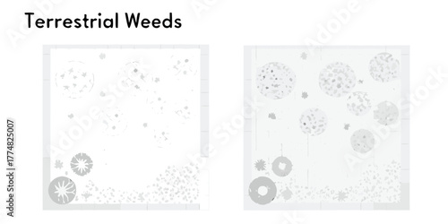 Top view illustration of terrestrial weeds in a garden setting