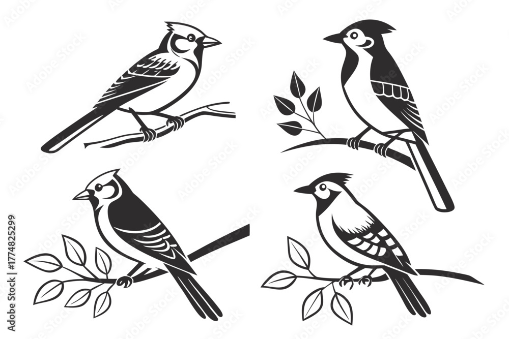 Fototapeta premium Minimalist blue jay perched icon set