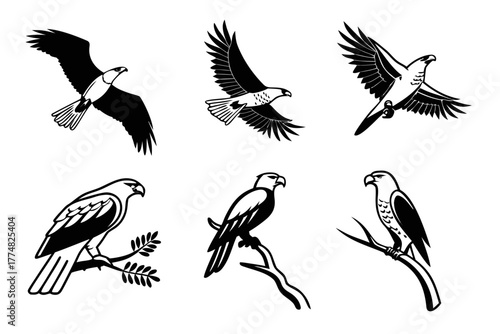 Minimalist brahminy kite icon set with eight designs