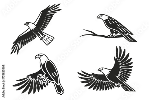 Brahminy kite minimalist icon set for design projects