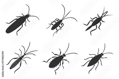 Set of eight minimalist caddisfly inspired icons in black and color