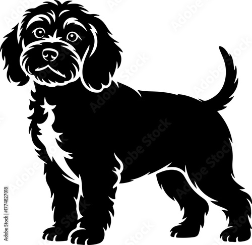 Cockapoo silhouette vector illustration