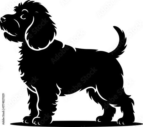 Cockapoo silhouette vector illustration