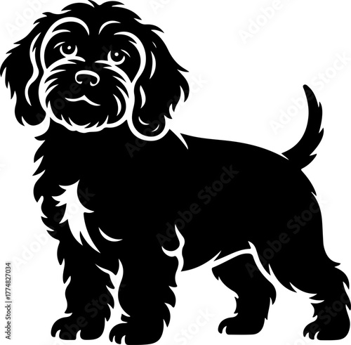 Cockapoo silhouette vector illustration