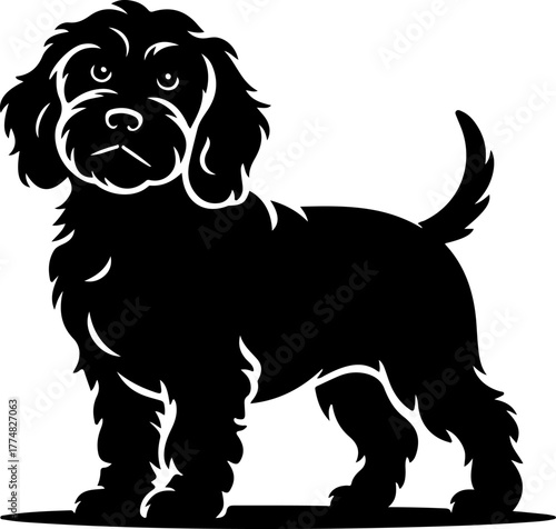 Cockapoo silhouette vector illustration