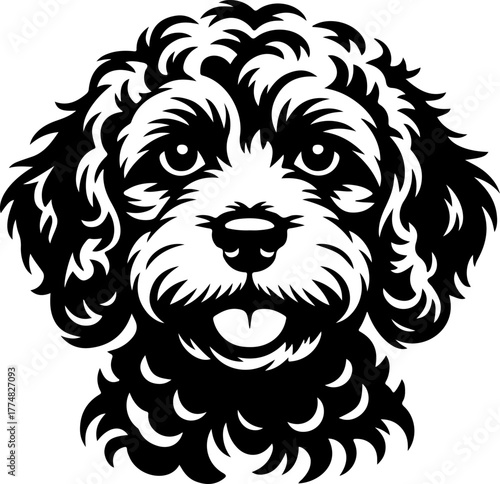 Cockapoo silhouette vector illustration