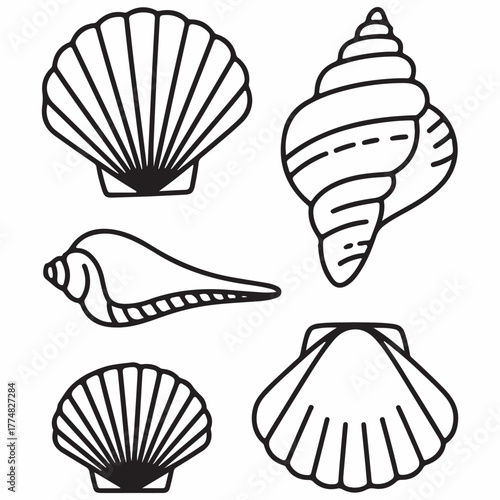 Elegant Nautical Seashell Outline Vector Design