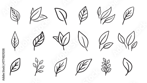 Hand drawn leaf eco set. Black line doodle leaf icons