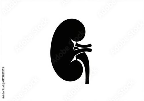 Black silhouette of a human kidney generative ai