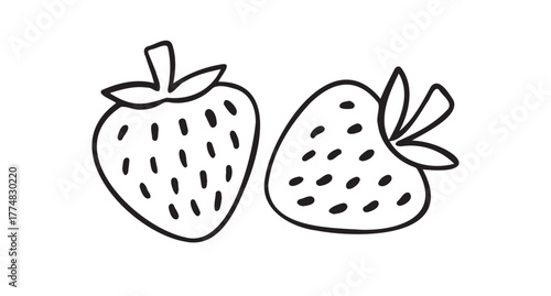 strawberry berry doodle hand drawn icon. Outline drawing line clipart symbol