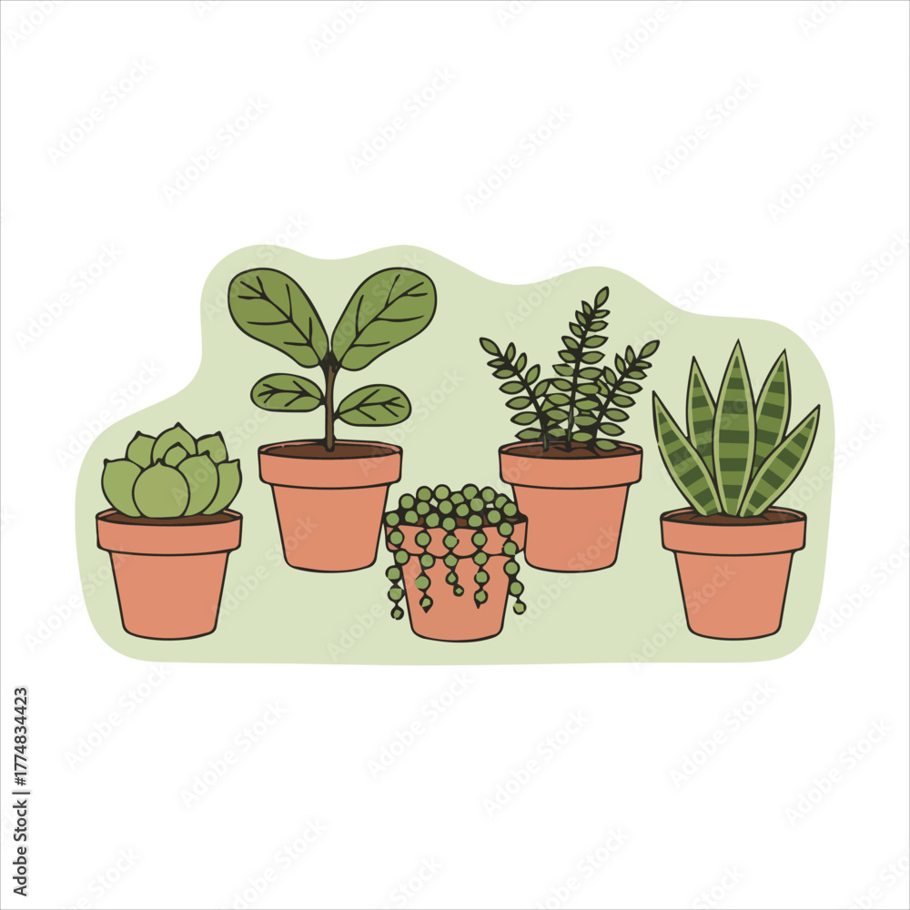 Fototapeta premium A Charming Collection of Five Potted Indoor Plants Grouped Together