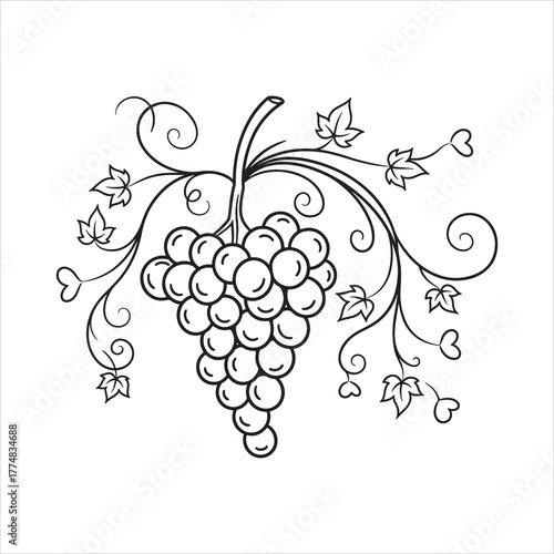 Decorative Swirls Flourish Embellishment With Bunch of Grapes