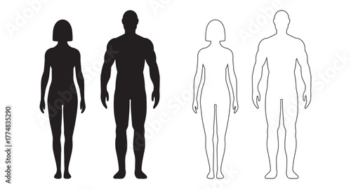 human body man and woman silhouette, male and female figure. vector monochrome isolated person outline standing full height. Outline and black people anatomy representation