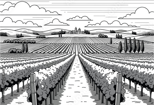 Endless Vineyards — A Peaceful View of the Countryside Fields