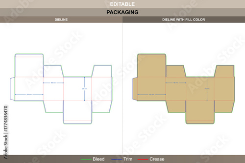 Reverse tuck end box dieline formed through detailed vector precision refining printing clarity and packaging lock system structured die line creates strong closure alignment