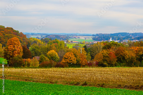 Autumn Landscape