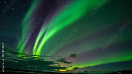 Vibrant green and purple aurora borealis dances across a star-filled night sky over a dark, wintry landscape