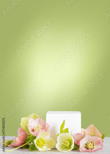 White cube surrounded by pastel spring flowers hellebores on soft green gradient background. Perfect for cosmetic product display, skincare branding, or packaging mockup. Copy space