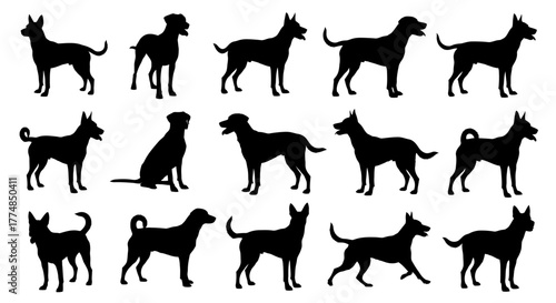Silhouettes of various dog breeds in different poses against a white background.