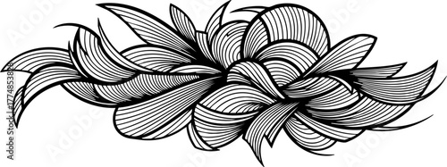 Elegant abstract organic swirl pattern with delicate line art creating dynamic flowing shapes for modern design projects